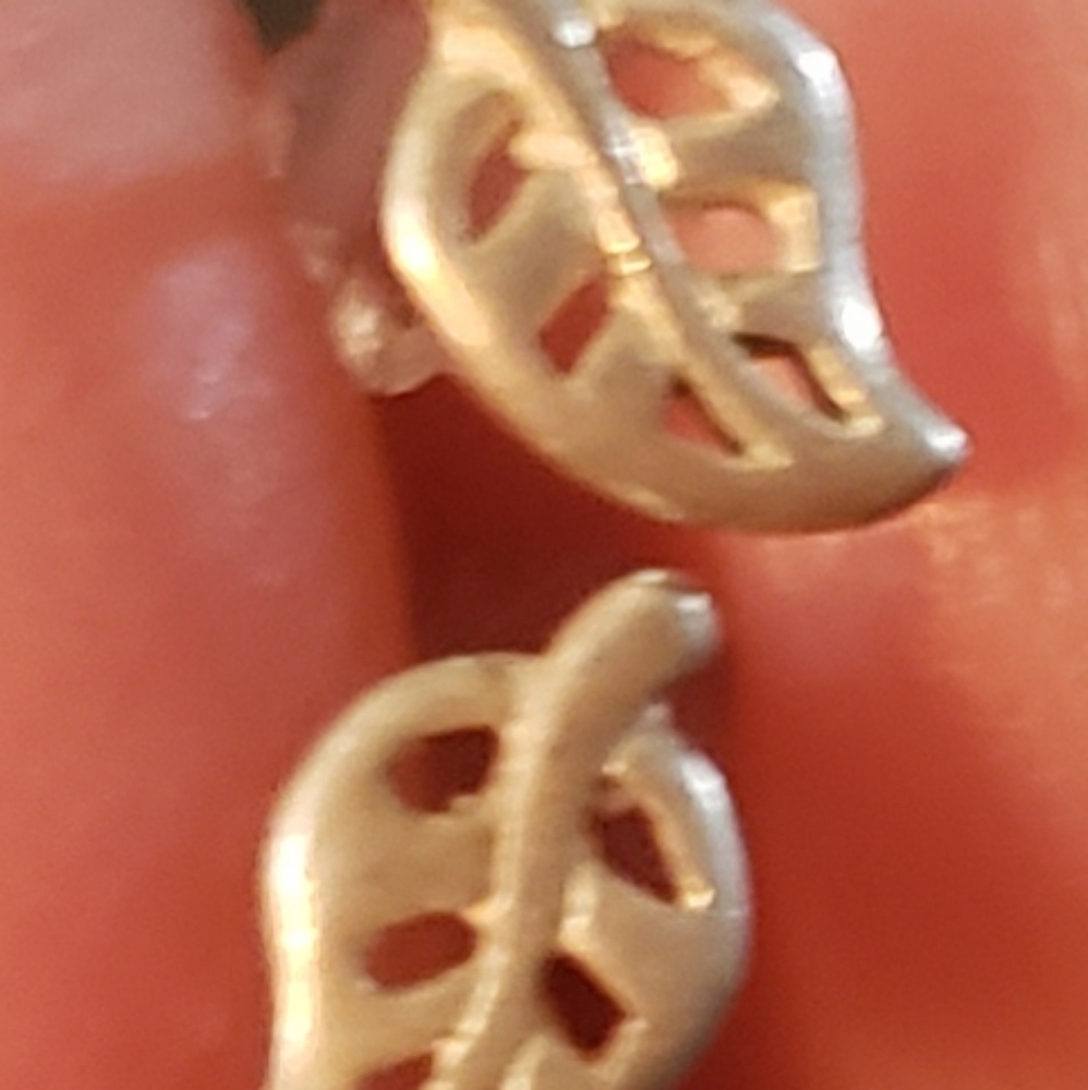 Silver Plated Earrings
